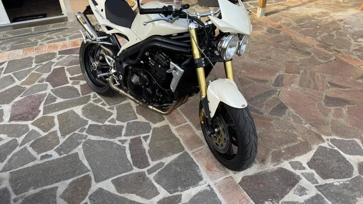 Triumph Speed Triple 1050 (2005 - 11)  (6)
