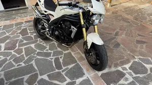 Triumph Speed Triple 1050 (2005 - 11)  (6)