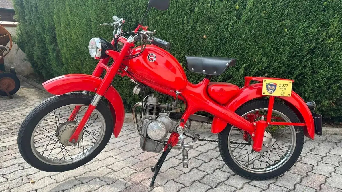 Motom   (10)