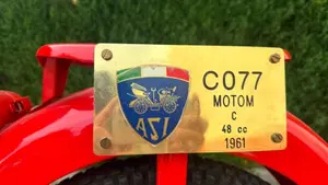 Motom   (11)