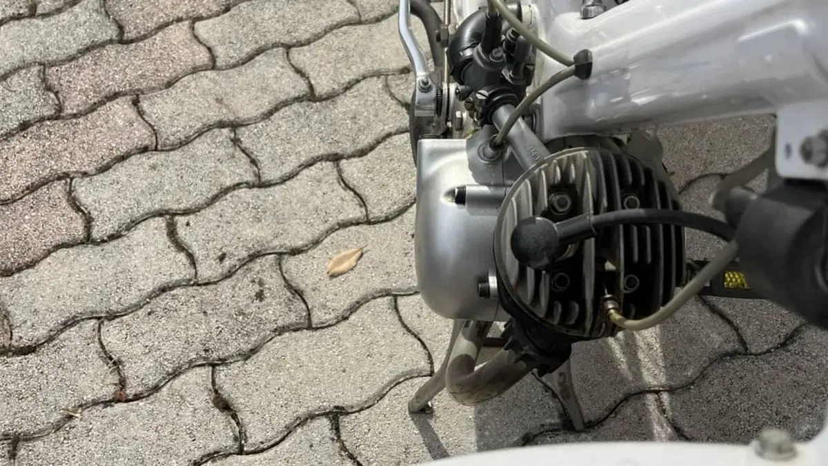 Innocenti   (15)