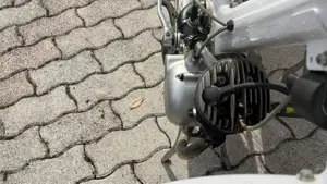 Innocenti   (15)