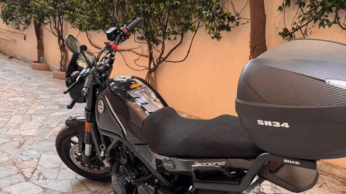 Benelli Leoncino 500 (2021 - 25)  (2)