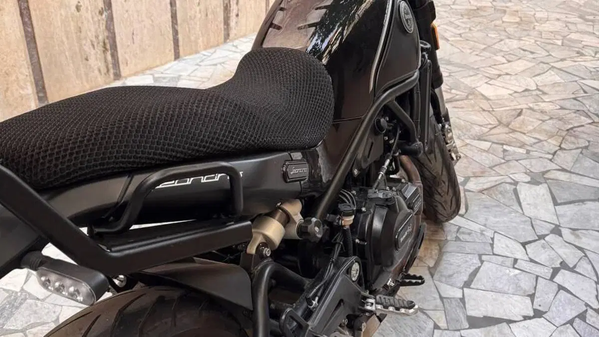 Benelli Leoncino 500 (2021 - 25)  (3)
