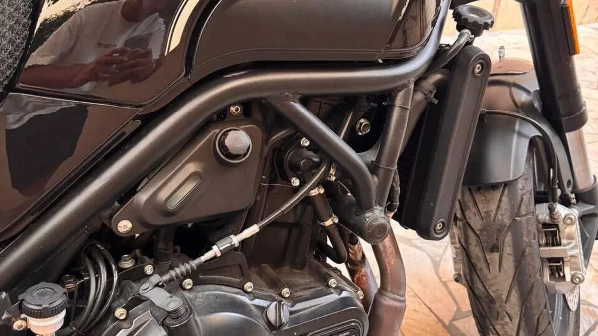 Benelli Leoncino 500 (2021 - 25)  (4)