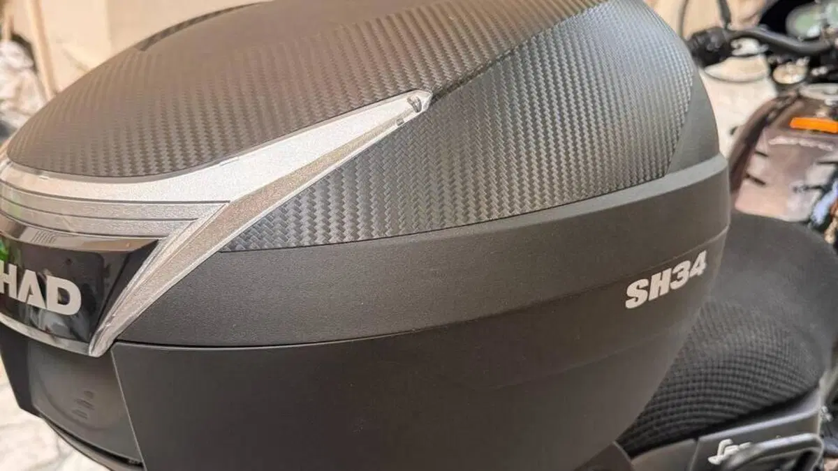 Benelli Leoncino 500 (2021 - 25)  (5)