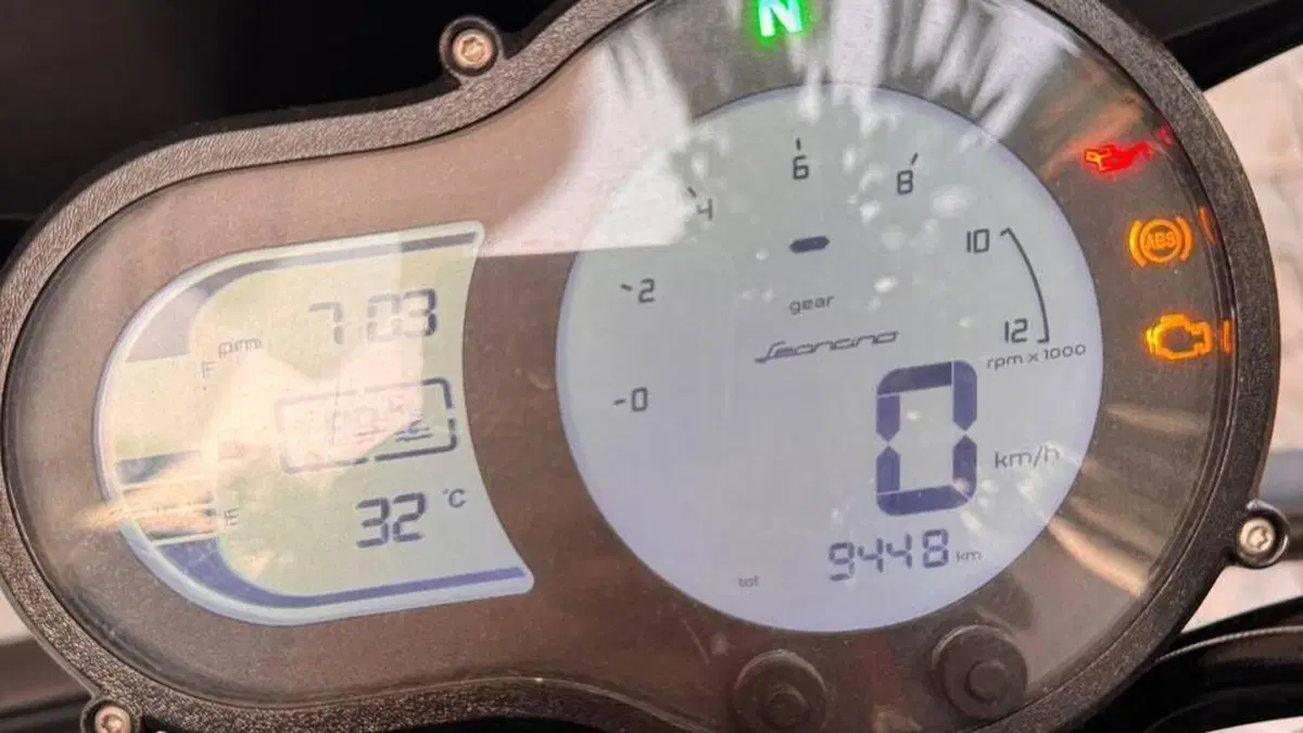 Benelli Leoncino 500 (2021 - 25)  (6)