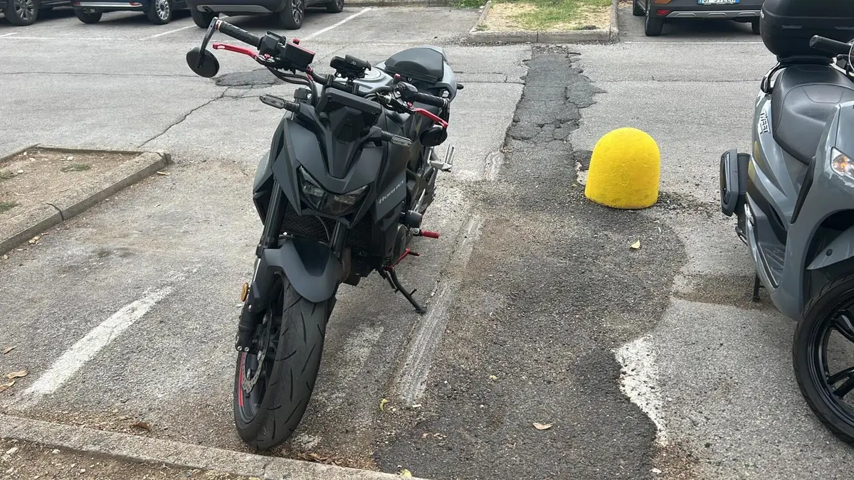 Honda CB 750 Hornet (2025)  (5)