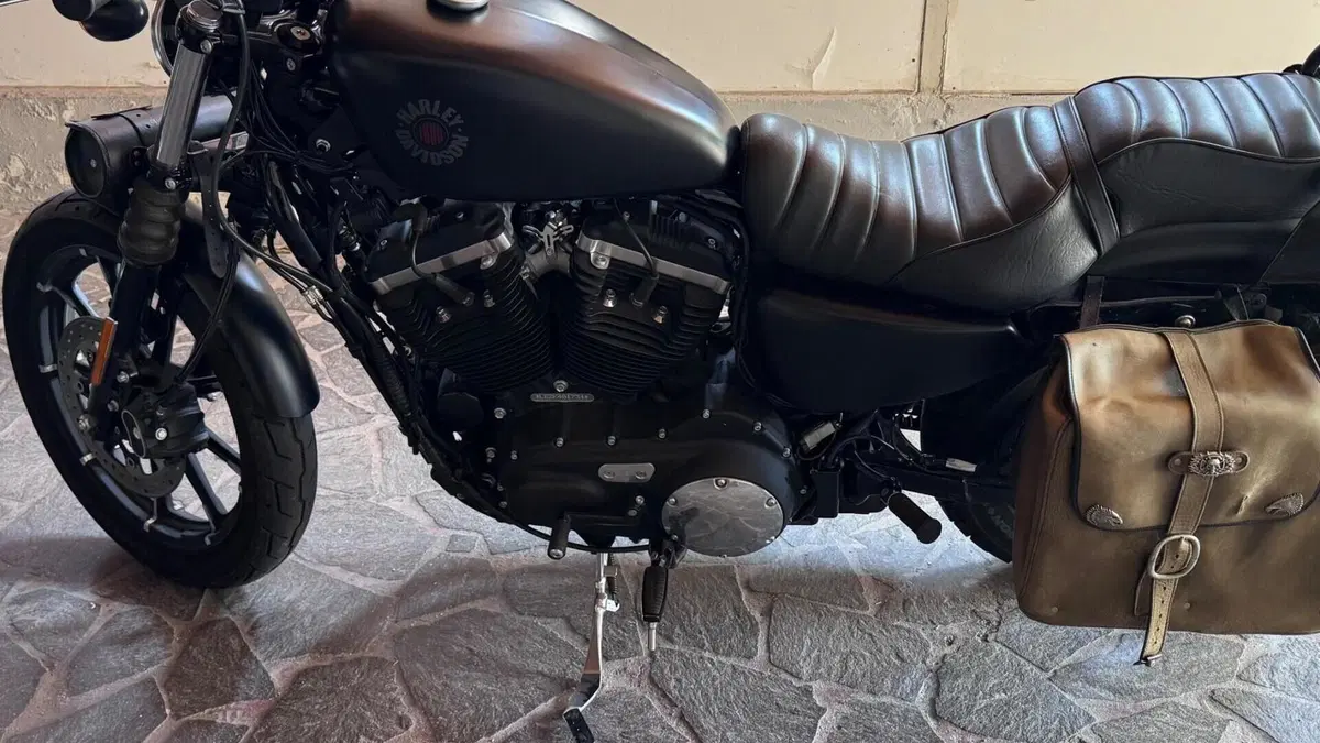 Harley-Davidson 883 SuperLow (2017 - 20) - XL 883L  (2)