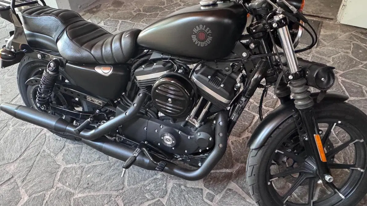 Harley-Davidson 883 SuperLow (2017 - 20) - XL 883L  (4)