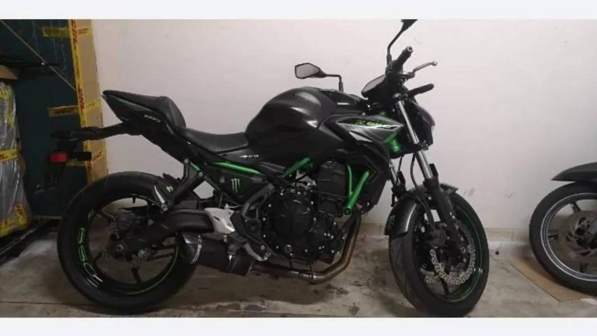Kawasaki Z 650 (2021 - 24)  (4)
