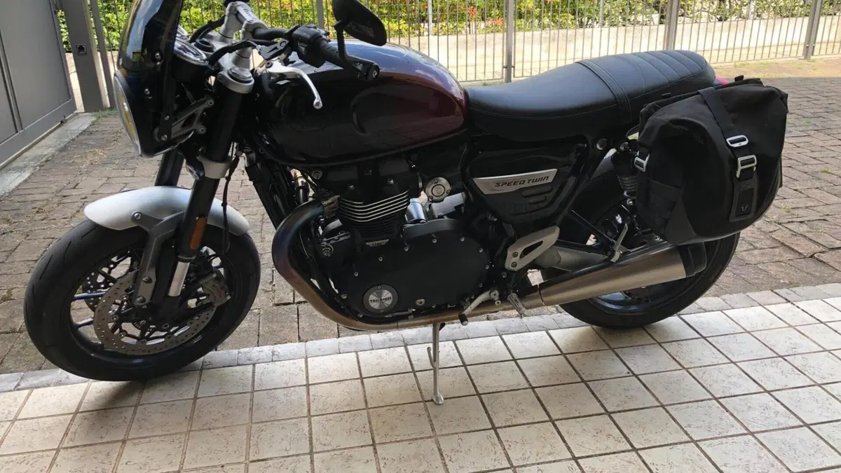 Triumph Speed Twin 1200 Stealth Edition (2024)  (3)