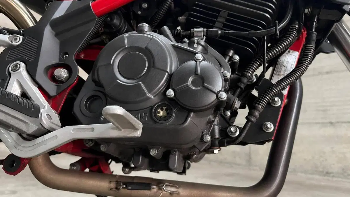 Benelli Tornado Naked T 125 (2017 - 20)  (7)