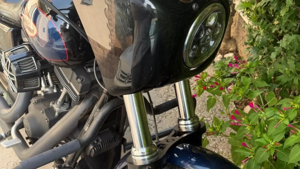 Harley-Davidson 1690 Street Bob Special (2015 - 16) - FXDB  (2)