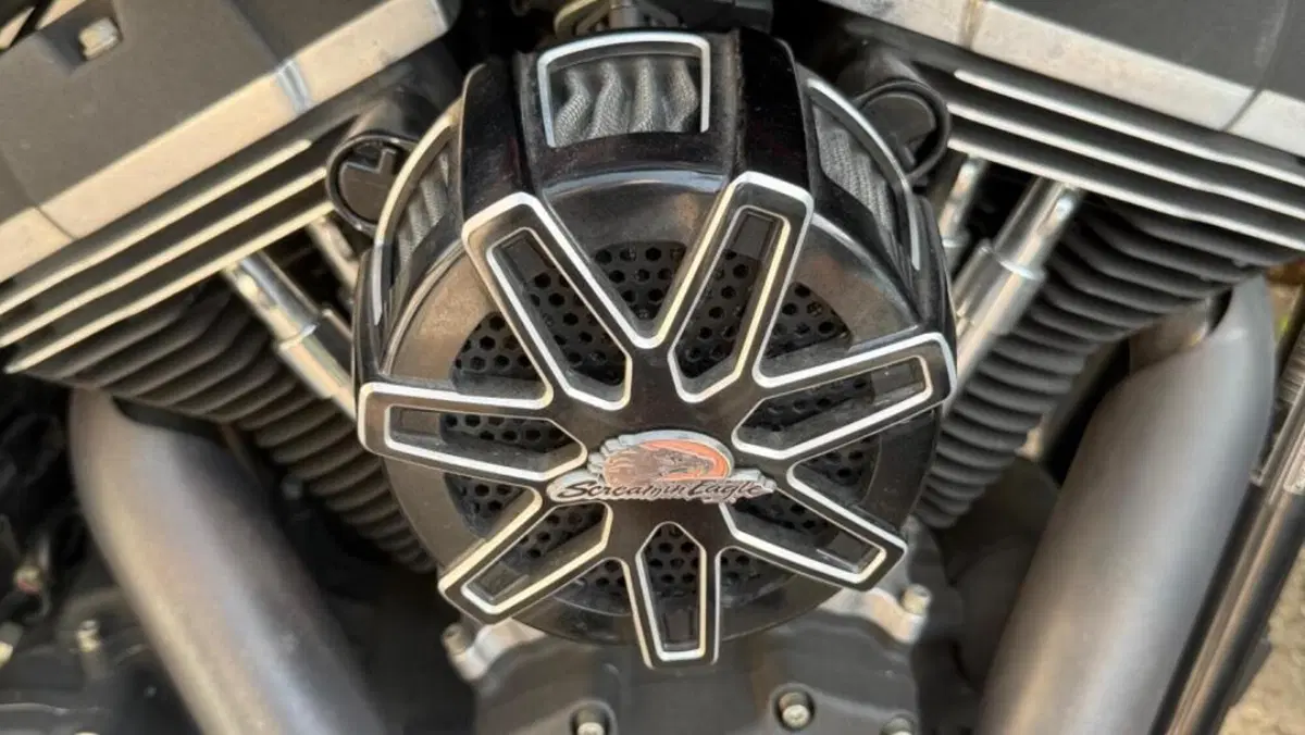 Harley-Davidson 1690 Street Bob Special (2015 - 16) - FXDB  (8)