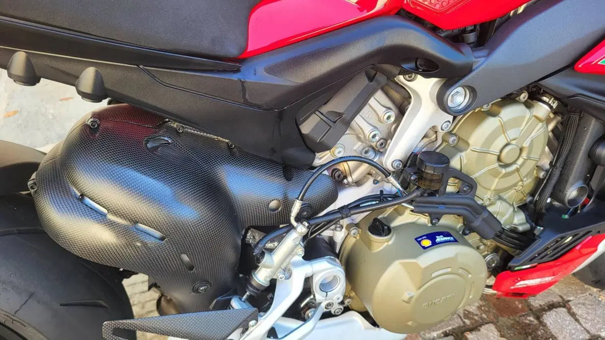 Ducati Streetfighter V4 1100 S (2020)  (5)