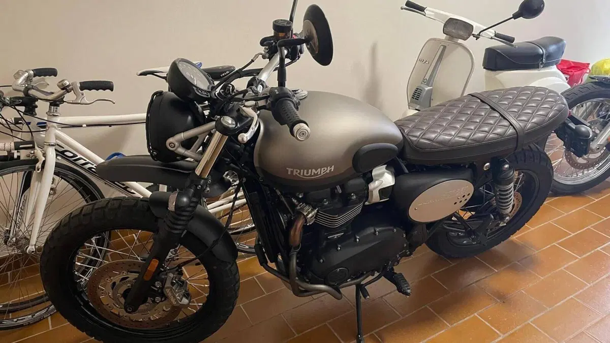 Triumph Street Scrambler 900 Sandstorm (2021 - 22)  (2)