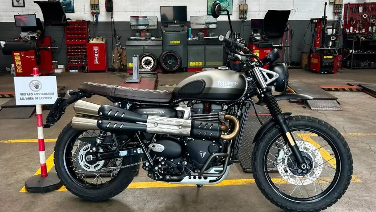 Triumph Street Scrambler 900 Sandstorm (2021 - 22)  (3)