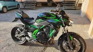 Kawasaki Z 650 (2025 - 26)  (3)