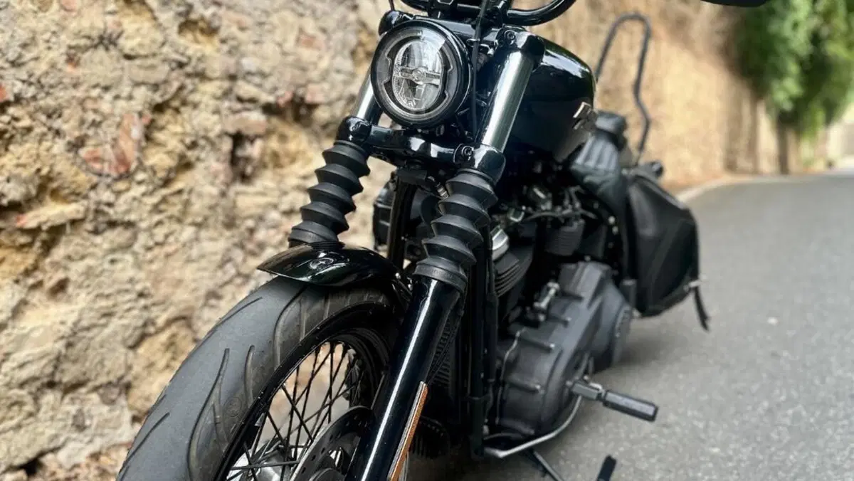 Harley-Davidson 107 Street Bob (2018 - 20) - FXBB  (5)