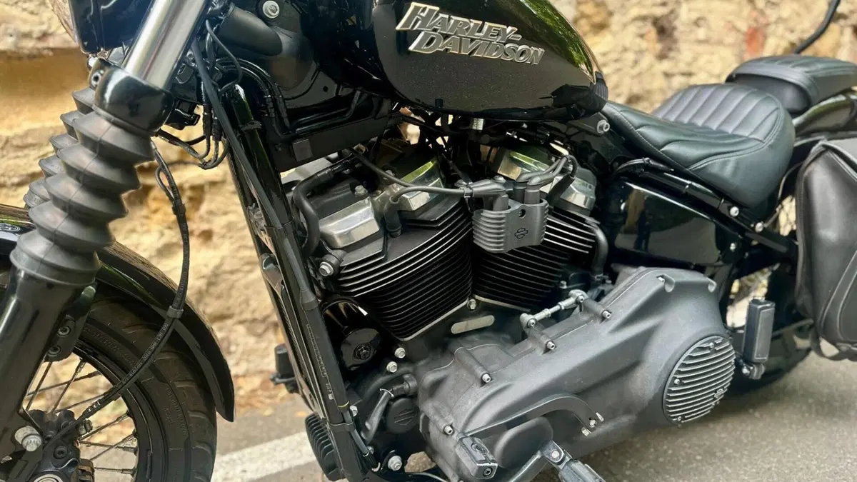 Harley-Davidson 107 Street Bob (2018 - 20) - FXBB  (6)