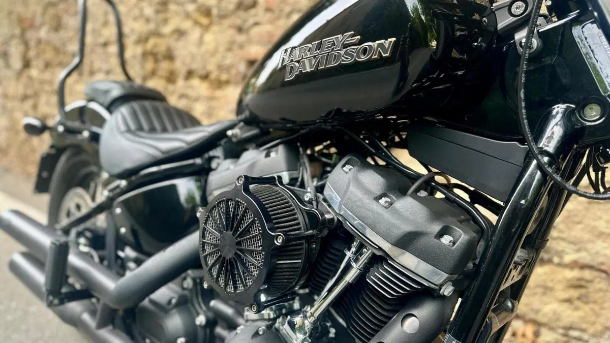 Harley-Davidson 107 Street Bob (2018 - 20) - FXBB  (8)