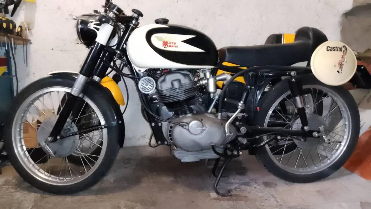 Morini   (4)
