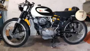 Morini   (4)