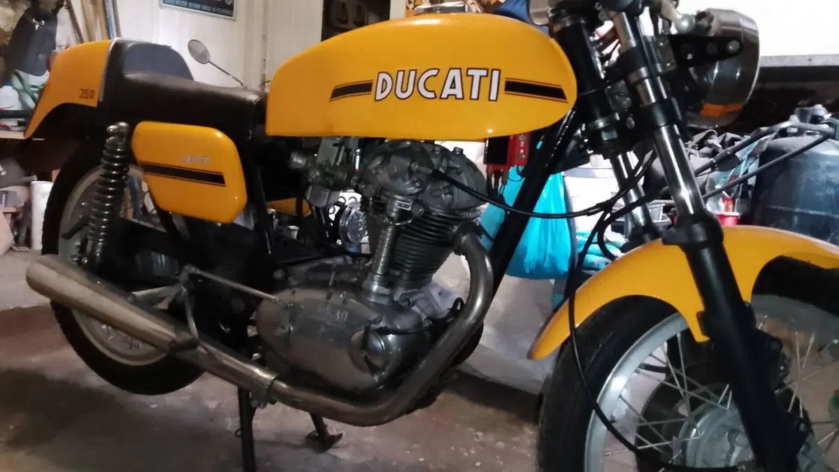 Ducati   (3)
