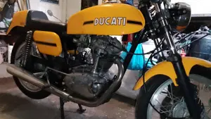 Ducati   (3)