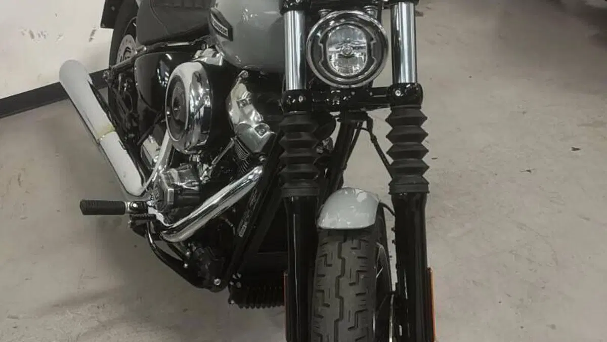 Harley-Davidson Street Bob 117 (2025 - 26)  (2)