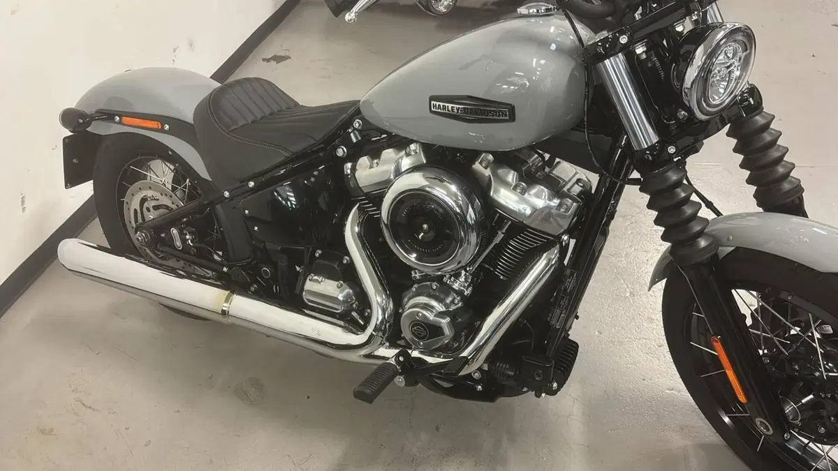 Harley-Davidson Street Bob 117 (2025 - 26) 