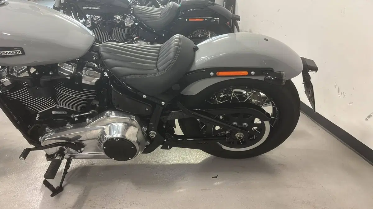 Harley-Davidson Street Bob 117 (2025 - 26)  (4)