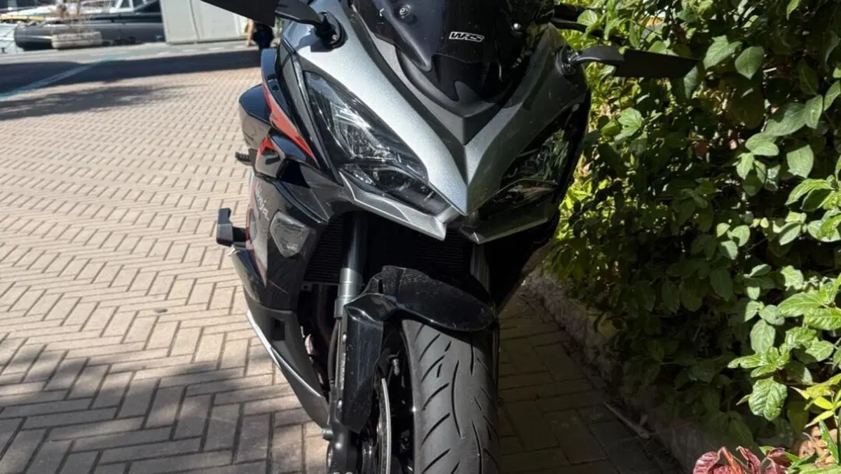 Kawasaki Ninja 1000 SX Tourer (2021 - 24)  (2)