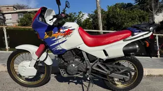 Honda NX 650 Dominator (1991 - 95) usata