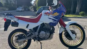 Honda NX 650 Dominator (1991 - 95)  (2)
