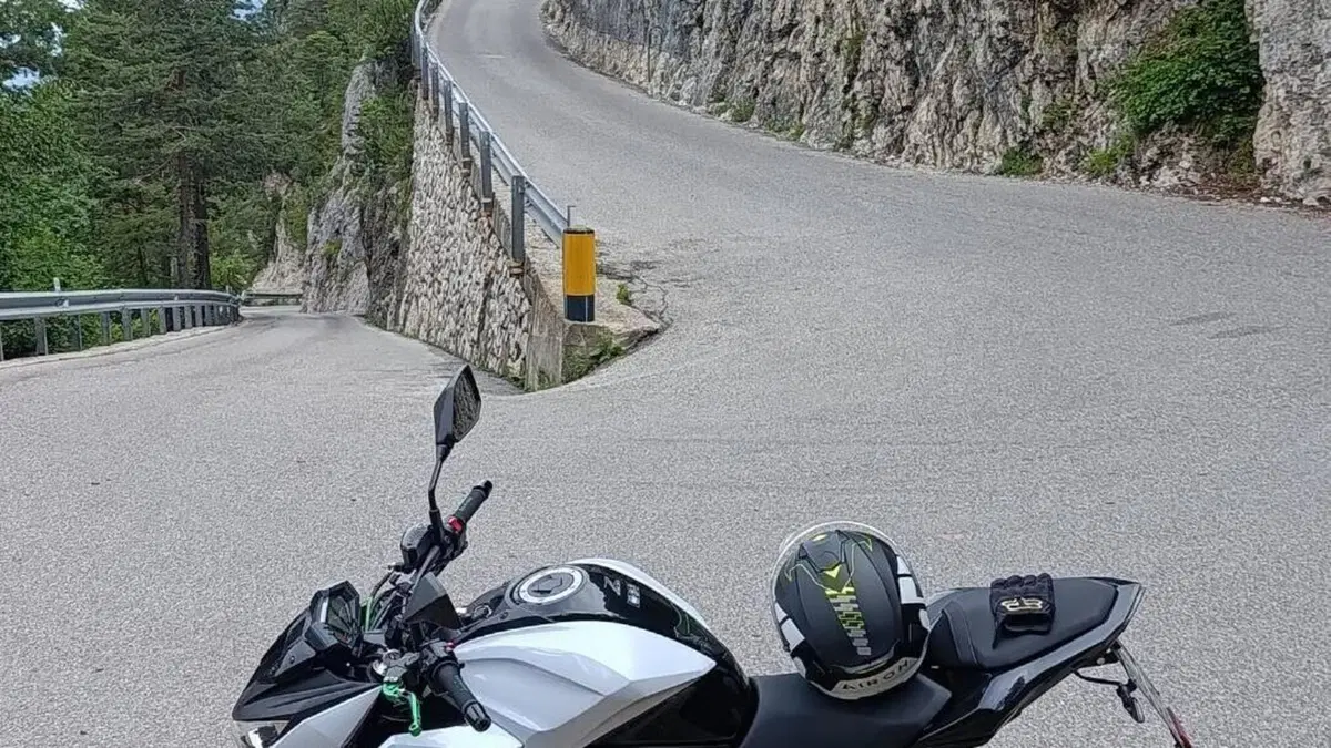 Kawasaki Z 800 e ABS (2012 - 16)  (11)