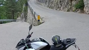 Kawasaki Z 800 e ABS (2012 - 16)  (11)