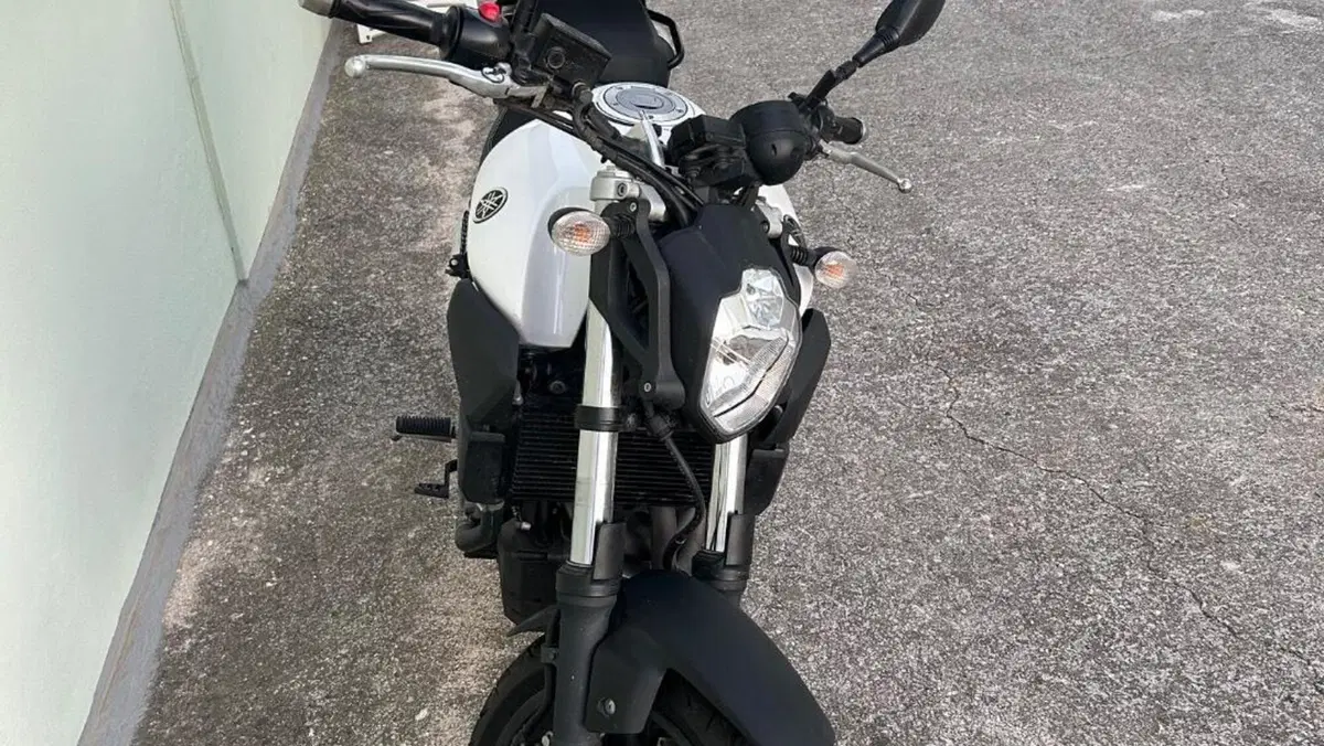 Yamaha MT-03 (2006 - 14)  (2)