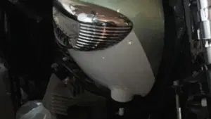 Triumph   (16)