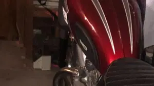 Triumph   (18)
