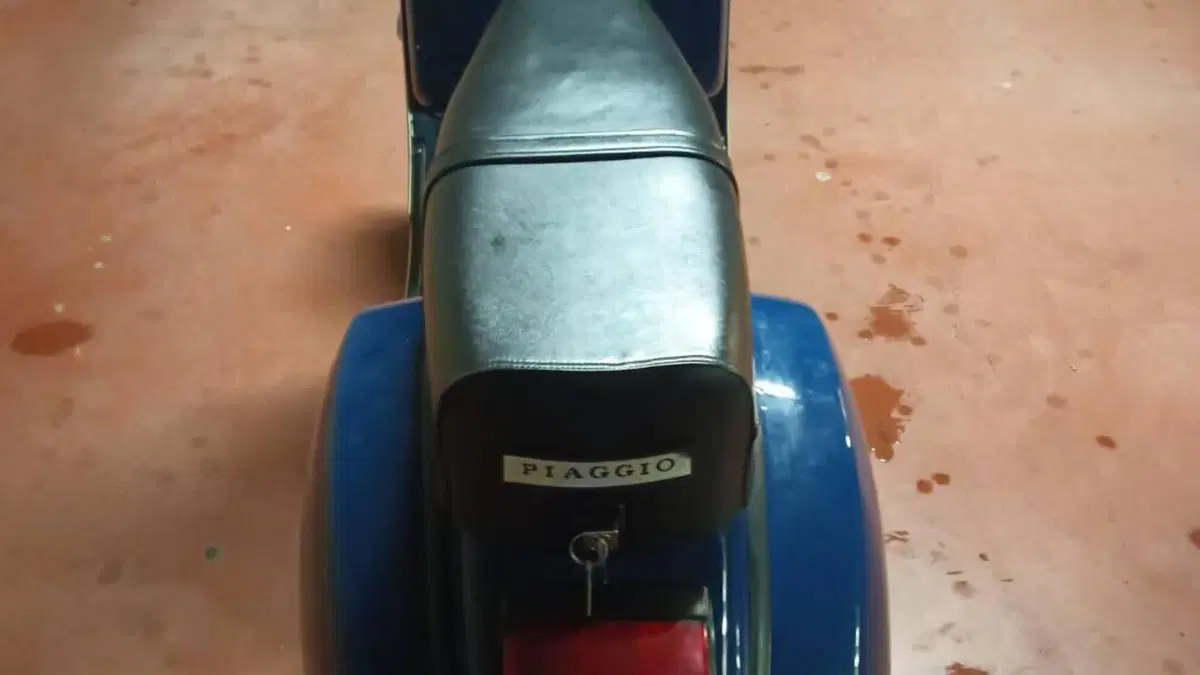 Piaggio   (8)