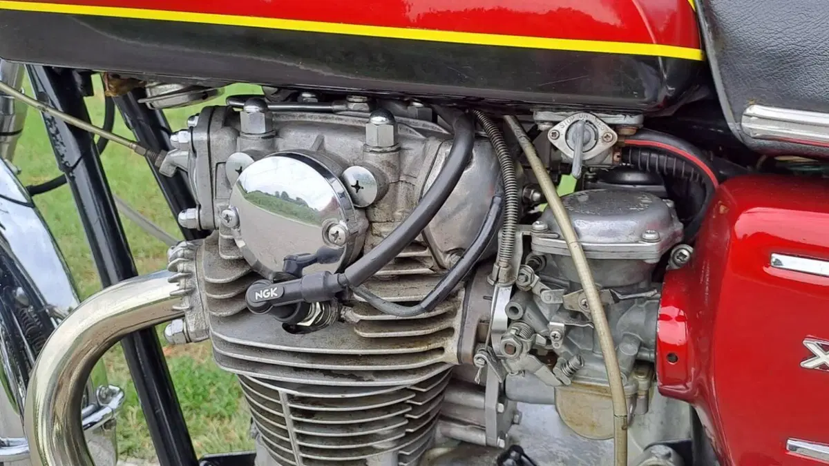 Yamaha   (15)
