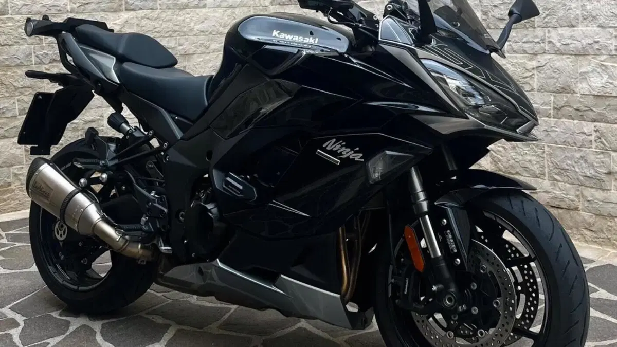 Kawasaki Ninja 1000 SX (2021 - 24) 