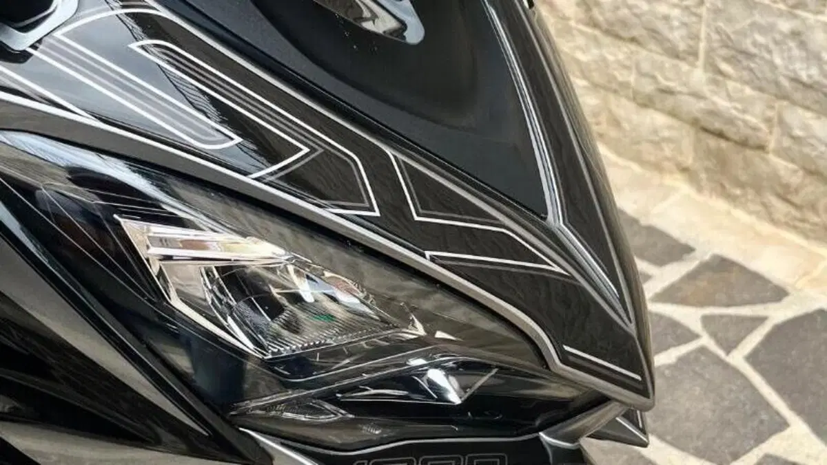Kawasaki Ninja 1000 SX (2021 - 24)  (2)