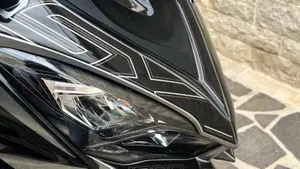 Kawasaki Ninja 1000 SX (2021 - 24)  (2)