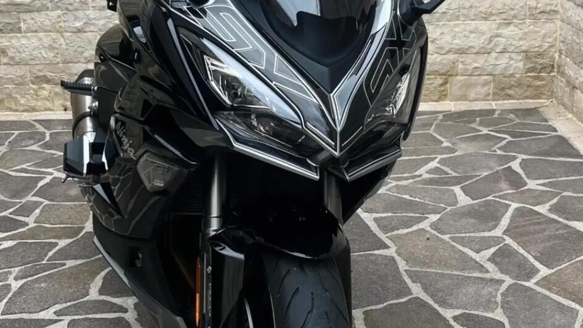 Kawasaki Ninja 1000 SX (2021 - 24)  (3)