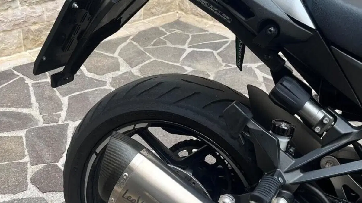 Kawasaki Ninja 1000 SX (2021 - 24)  (6)