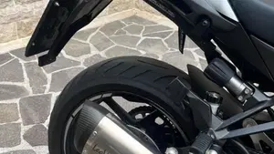Kawasaki Ninja 1000 SX (2021 - 24)  (6)
