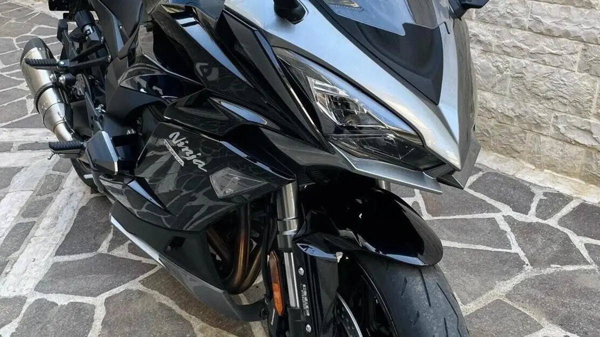 Kawasaki Ninja 1000 SX (2021 - 24)  (7)